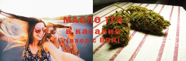 сатива Верея