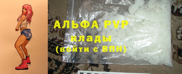 сатива Верея