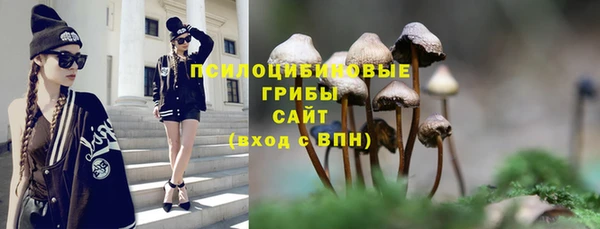 сатива Верея