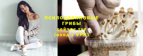 ГАЛЛЮЦИНОГЕННЫЕ ГРИБЫ Верхний Тагил