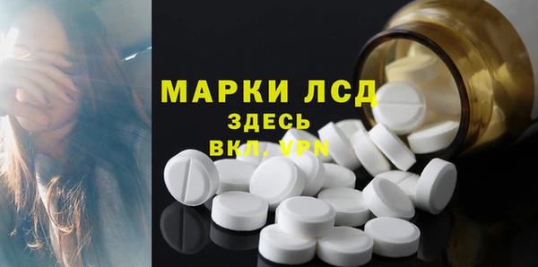 сатива Верея