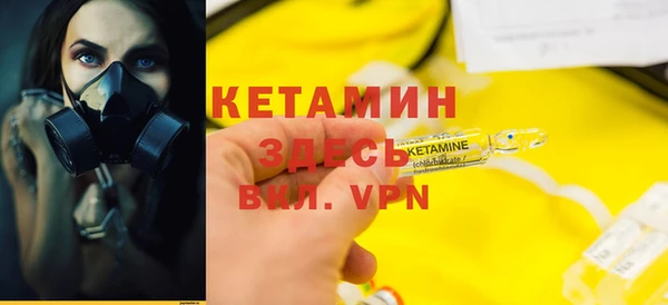 сатива Верея