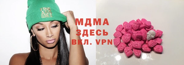 сатива Верея