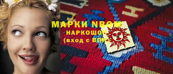 сатива Верея