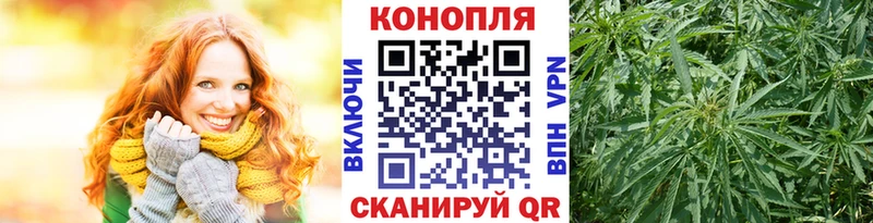 где можно купить наркотик  Оха  Шишки марихуана Ganja 